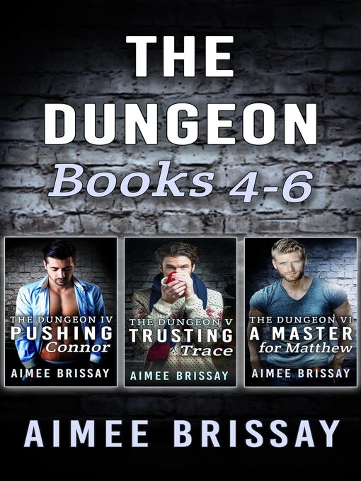 Title details for The Dungeon Boxset by Aimee Brissay - Available